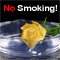 A Card On Anti-smoking.