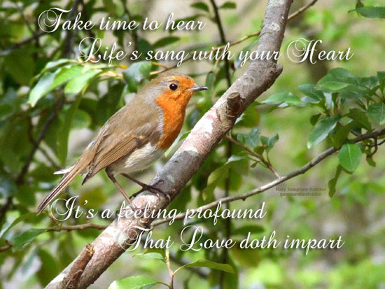 Take Time To Hear The Birds Sing.