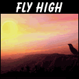 Fly High!
