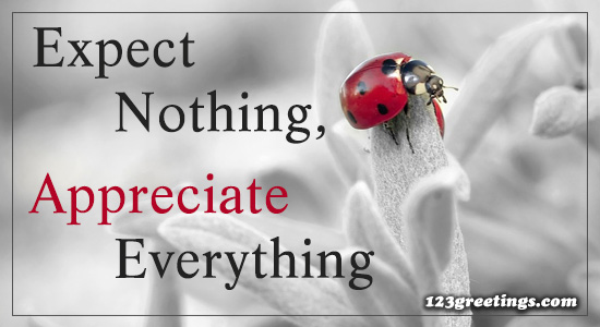 Expect Nothing...