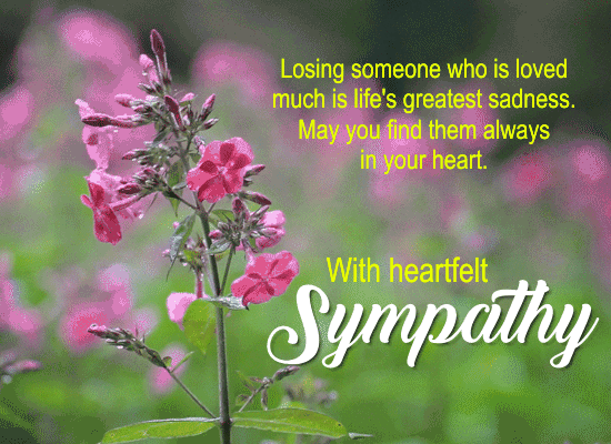 A Heartfelt Sympathy Card For You.