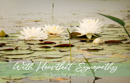 Sympathy For Loss With Water Lilies