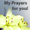My Prayers Are With You!