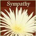 With Sympathy!