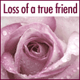A Sympathy Message...