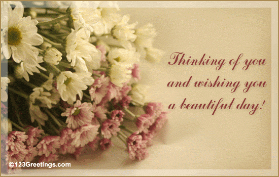 Thinking Of You... Free Just Because eCards, Greeting Cards | 123 Greetings