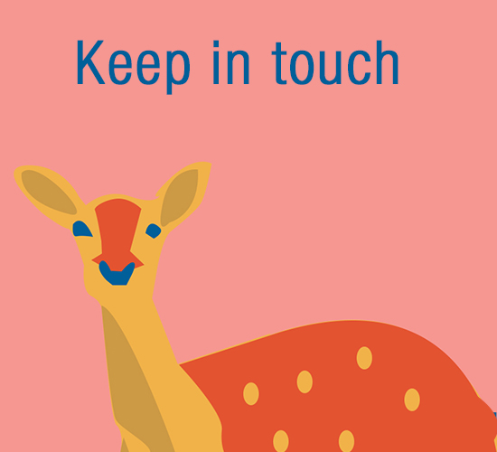 Keep In Touch Deer.