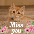 Cute Cat Miss You!