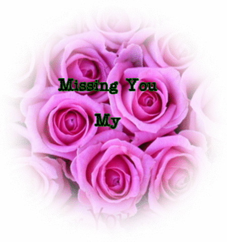 Missing You My Rose!