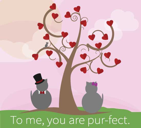 To Me You Are Pur-fect!
