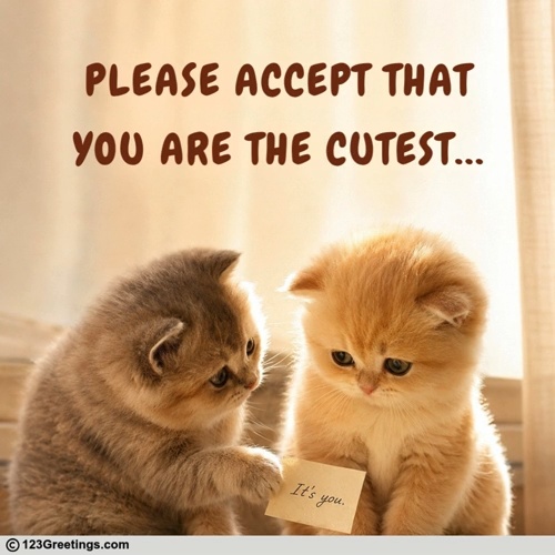Woo Someone