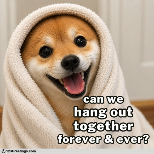 Forever Sounds Nice.