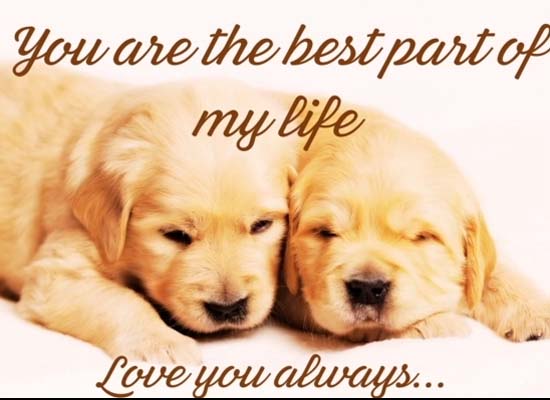 A Message Of Love And Gratitude.