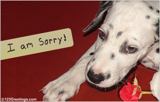 I Apologize!