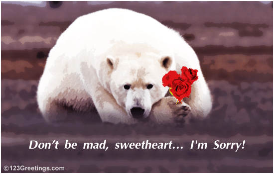 I'm Sorry, Sweetheart!