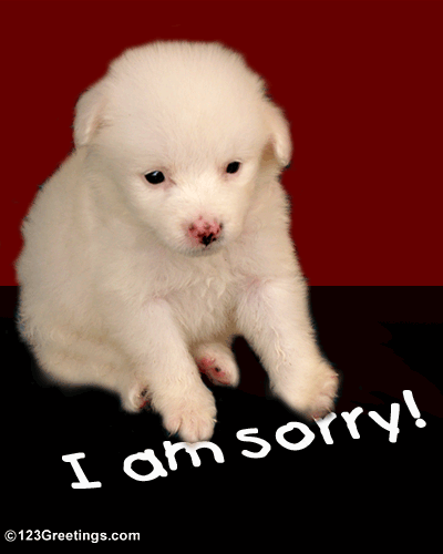 I Am Really Sorry!