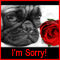 Sweetheart, I'm Sorry!
