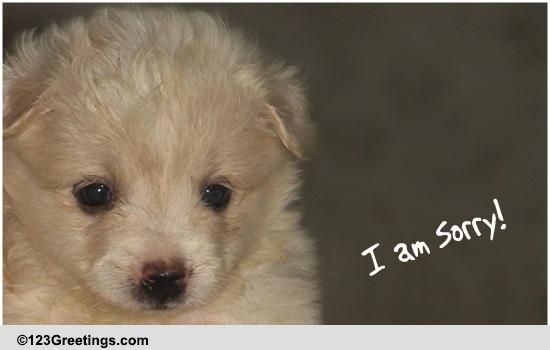 I Did Not Mean To!