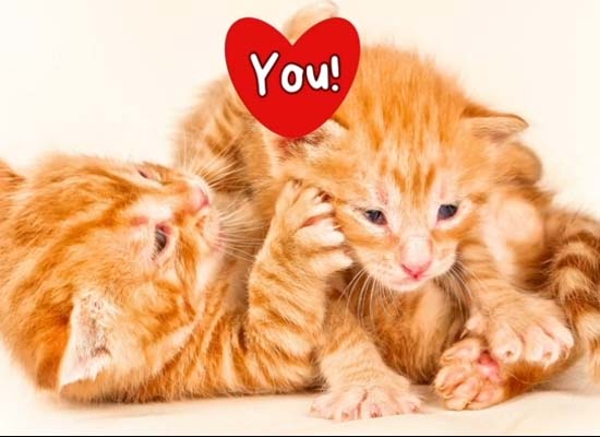 Surprise Your Sweetheart - Love Ecard.
