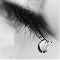 Tears Conceived In Heart!