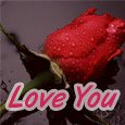 Love You A Lot!