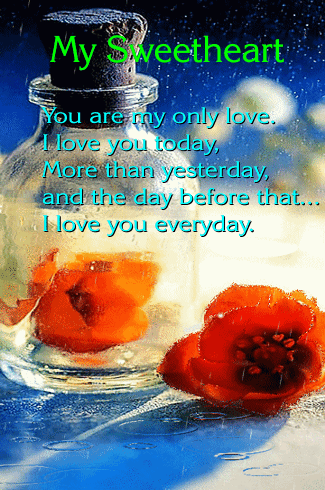 I Love You Everyday...