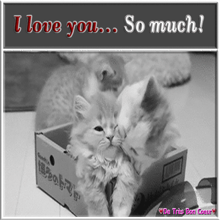 Kitten Showing Some Love...