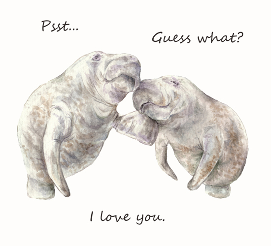 Manatees: I Love You!!