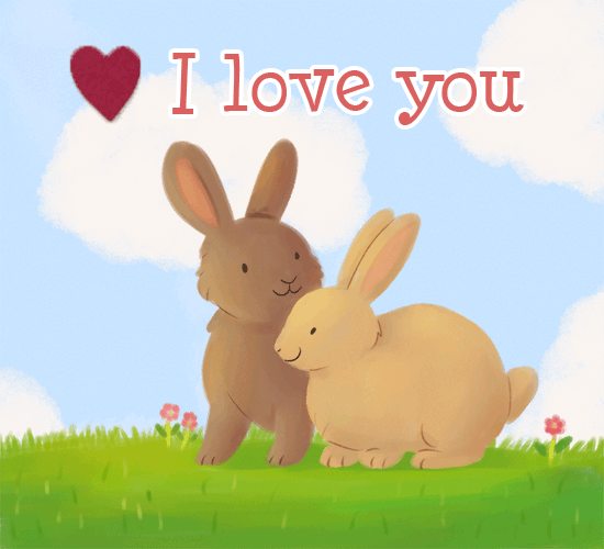Love You Rabbits.