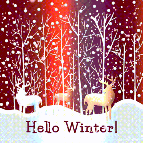 Hello Winter I Love You...