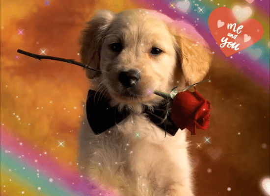 A Cute Love Card Just For You.