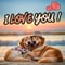 Send A Warm Hug To Your Special One.