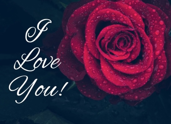 Send Thanks To Your Love!