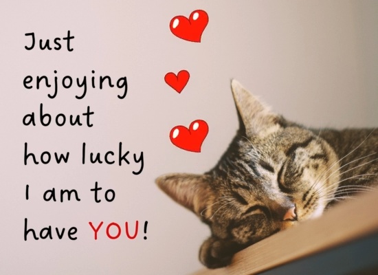 A Cute I Love You Ecard!