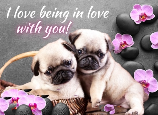 A Lovely Love Ecard For Your Love