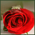 Your Love Changed My Life...