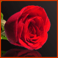 I Love You My Sweetheart!