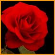 Love Means You...