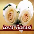 Pretty Roses Bloom In My Heart!