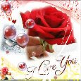Special Love...