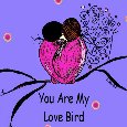 You Are My Love Bird!