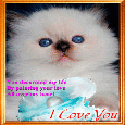 You Decorated My Life.