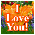 The Feelings Of Love...