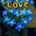 Love Of Flowers