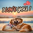 Send A Warm Hug To Your Special One.