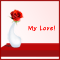 A Romantic Red Rose!