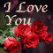 I Love U Roses!!