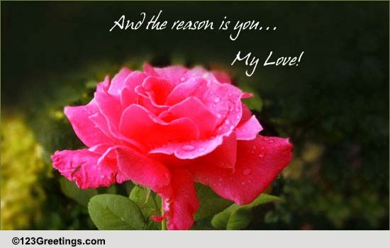 The Reason...