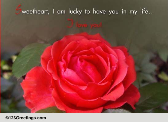 My Love Is Pure As A Rose..