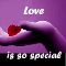 Love Is A Special Feeling...